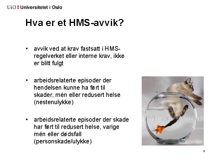 Hva er et HMS-avvik? • avvik ved at krav fastsatt i HMSregelverket eller interne