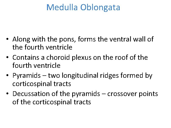 Medulla Oblongata • Along with the pons, forms the ventral wall of the fourth