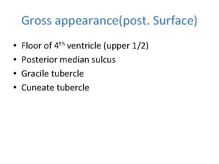 Gross appearance(post. Surface) • • Floor of 4 th ventricle (upper 1/2) Posterior median