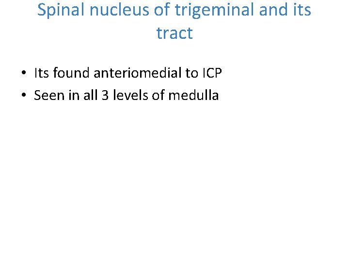 Spinal nucleus of trigeminal and its tract • Its found anteriomedial to ICP •