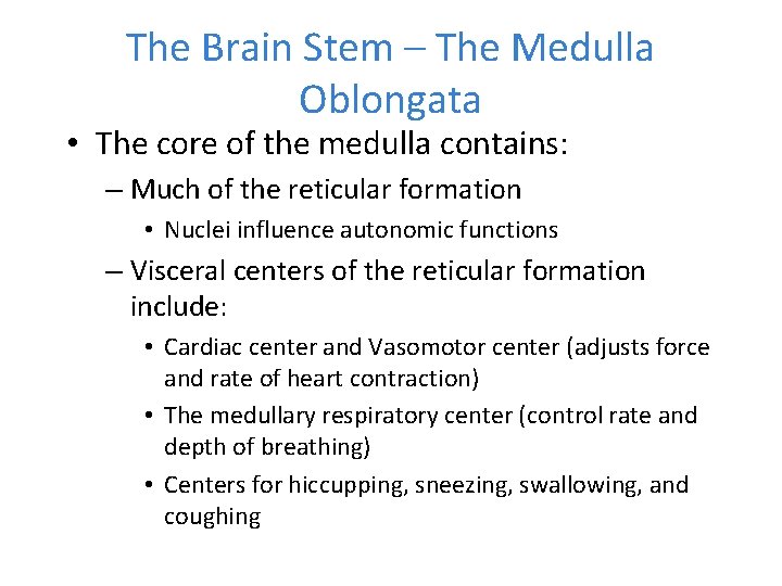 The Brain Stem – The Medulla Oblongata • The core of the medulla contains: