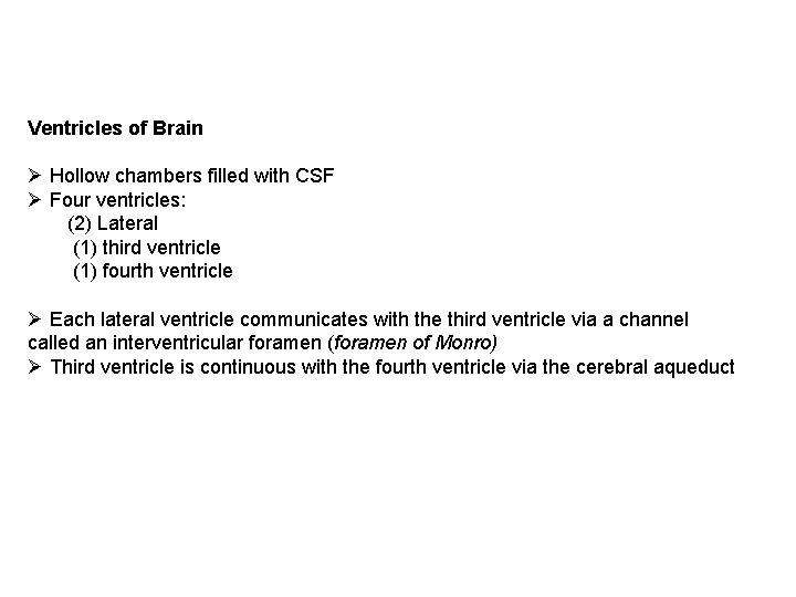 Ventricles of Brain Ø Hollow chambers filled with CSF Ø Four ventricles: (2) Lateral