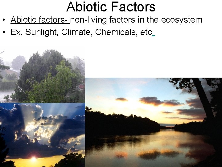 Abiotic Factors • Abiotic factors- non-living factors in the ecosystem • Ex. Sunlight, Climate,
