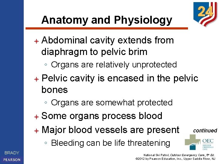 Anatomy and Physiology l Abdominal cavity extends from diaphragm to pelvic brim ◦ Organs