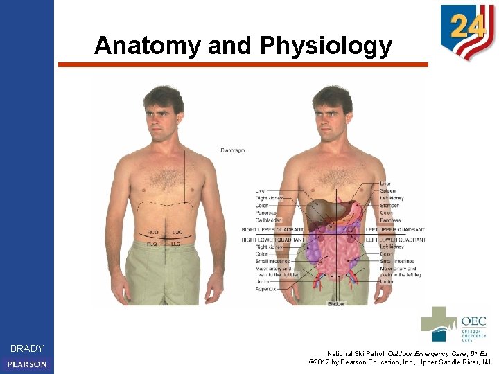 Anatomy and Physiology BRADY National Ski Patrol, Outdoor Emergency Care, 5 th Ed. ©