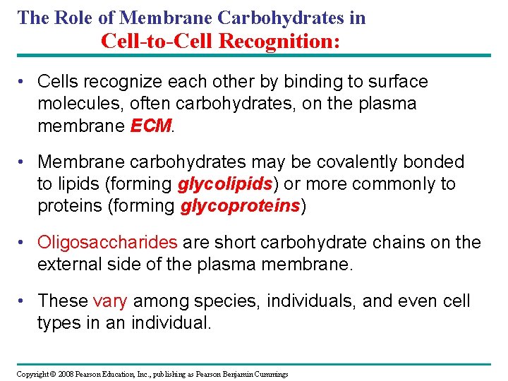 The Role of Membrane Carbohydrates in Cell-to-Cell Recognition: • Cells recognize each other by