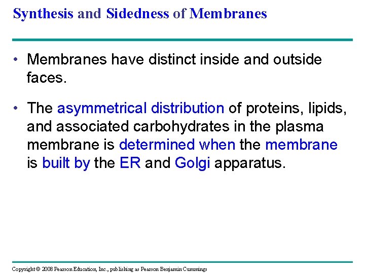 Synthesis and Sidedness of Membranes • Membranes have distinct inside and outside faces. •