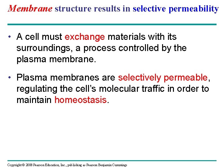 Membrane structure results in selective permeability • A cell must exchange materials with its