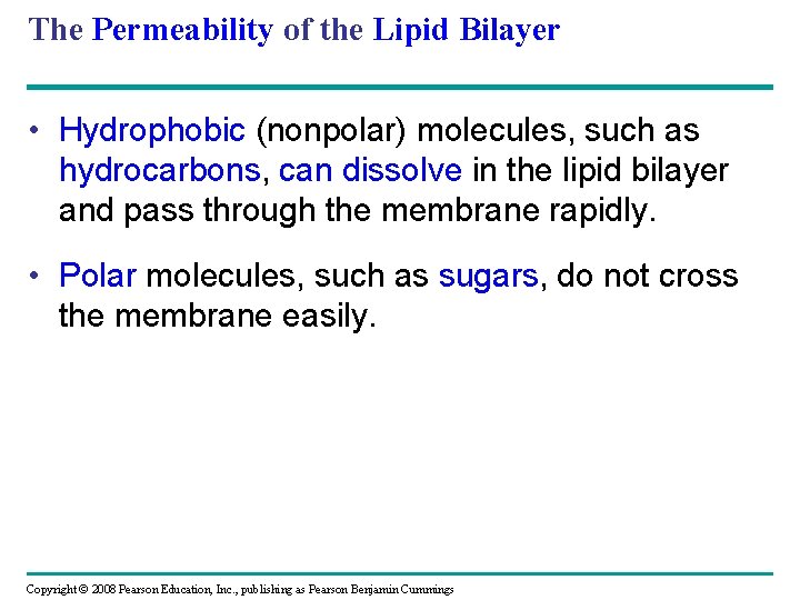 The Permeability of the Lipid Bilayer • Hydrophobic (nonpolar) molecules, such as hydrocarbons, can