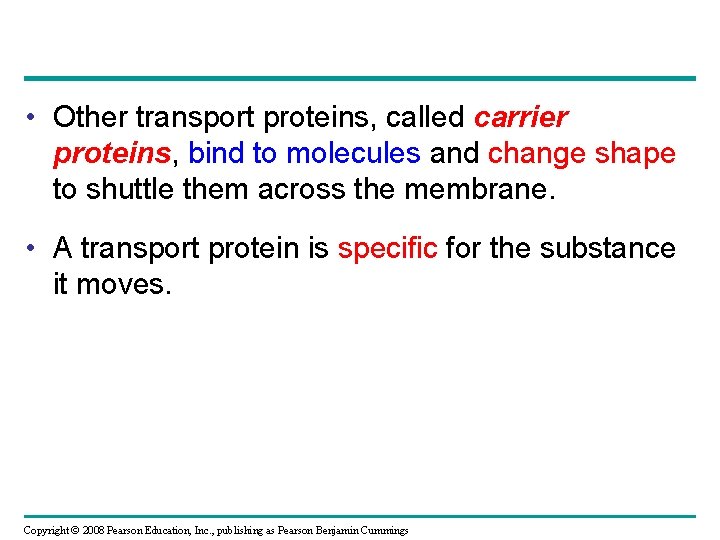  • Other transport proteins, called carrier proteins, bind to molecules and change shape
