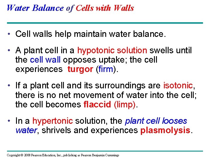 Water Balance of Cells with Walls • Cell walls help maintain water balance. •