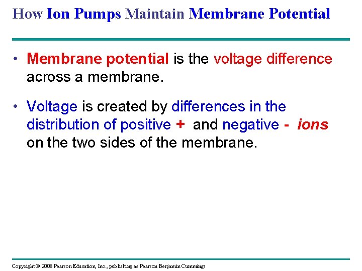 How Ion Pumps Maintain Membrane Potential • Membrane potential is the voltage difference across