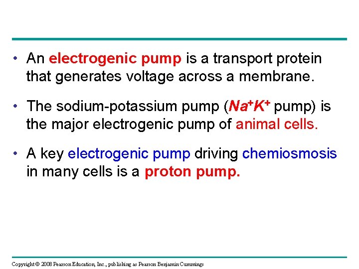  • An electrogenic pump is a transport protein that generates voltage across a