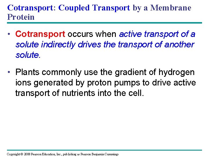 Cotransport: Coupled Transport by a Membrane Protein • Cotransport occurs when active transport of