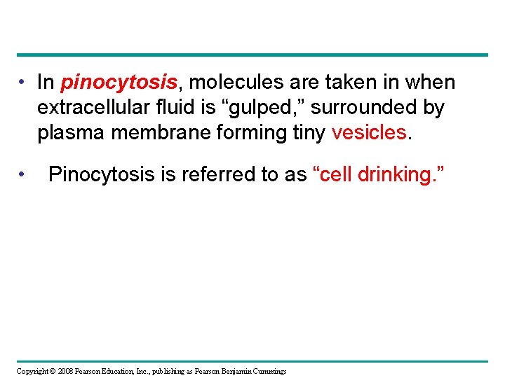  • In pinocytosis, molecules are taken in when extracellular fluid is “gulped, ”