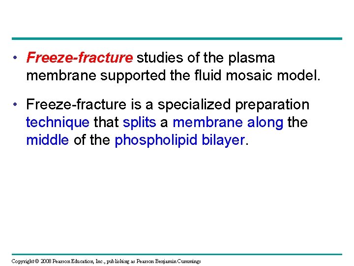  • Freeze-fracture studies of the plasma membrane supported the fluid mosaic model. •