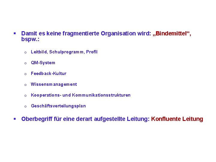 § Damit es keine fragmentierte Organisation wird: „Bindemittel“, bspw. : o Leitbild, Schulprogramm, Profil