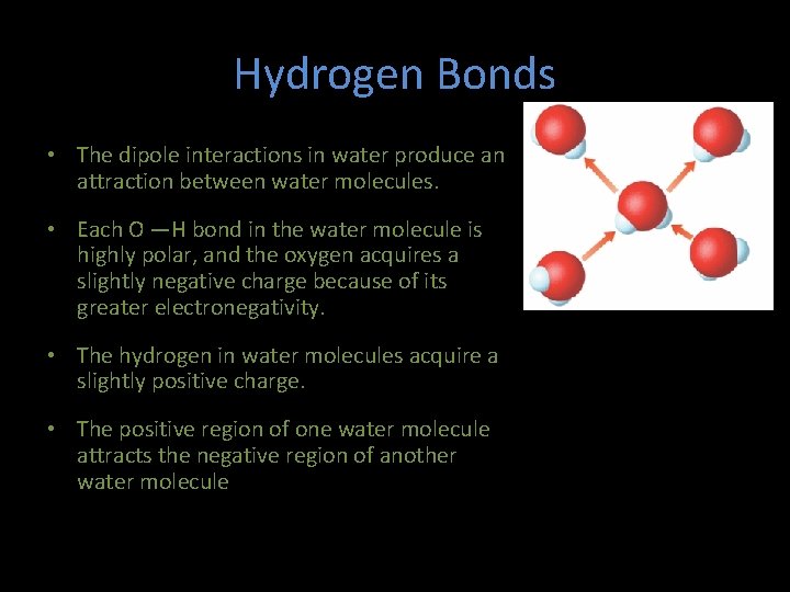 Hydrogen Bonds • The dipole interactions in water produce an attraction between water molecules.