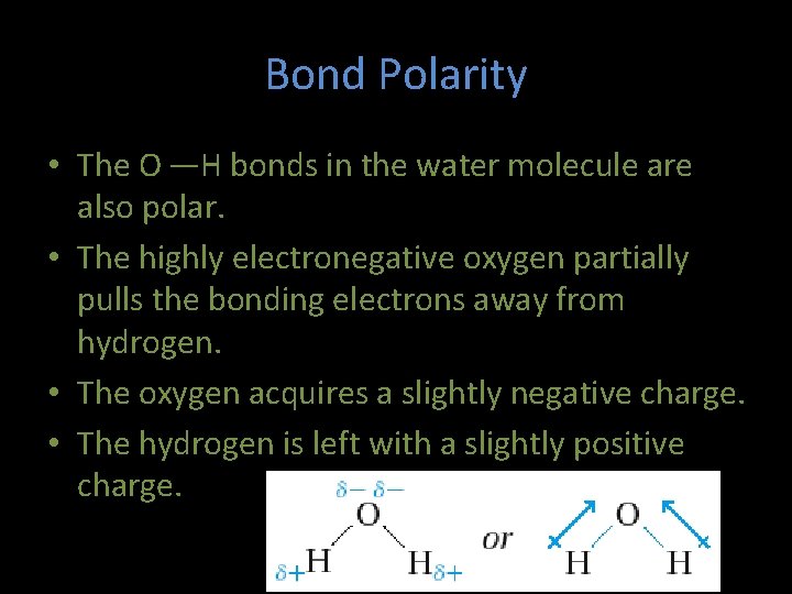 Bond Polarity • The O —H bonds in the water molecule are also polar.