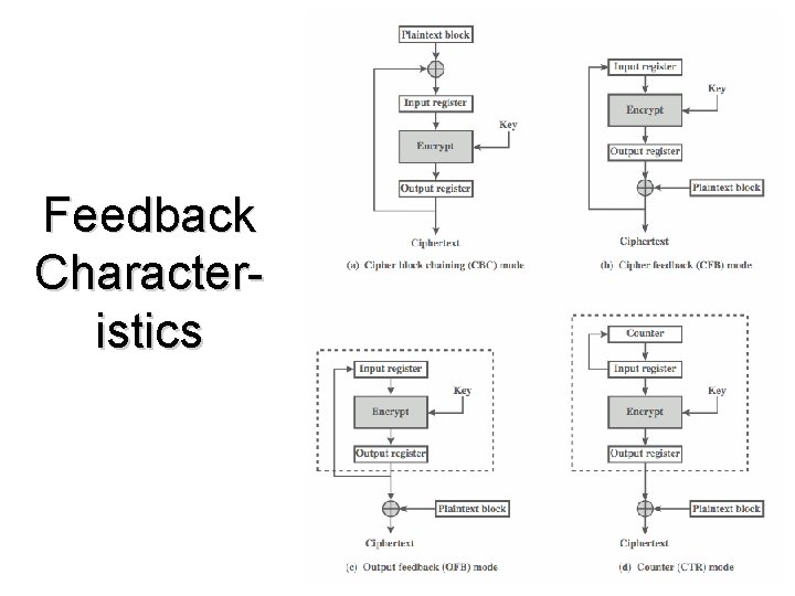 Feedback Characteristics 