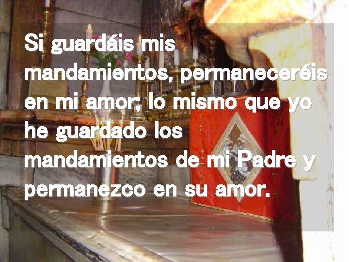 Si guardáis mandamientos, permaneceréis en mi amor; lo mismo que yo he guardado los