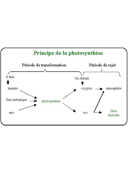 Principe de la photosynthèse Période de transformation Il faut On obtient ______ lumière _______