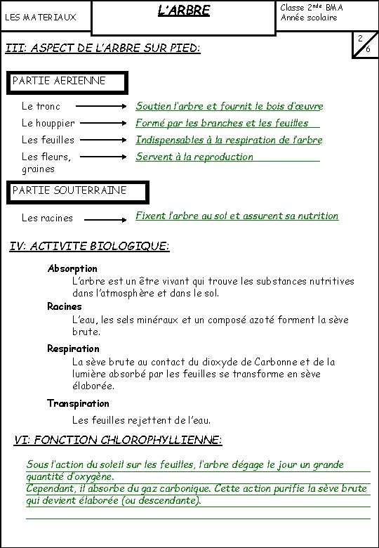 LES MATERIAUX L’ARBRE Classe 2 nde BMA Année scolaire …………… III: ASPECT DE L’ARBRE