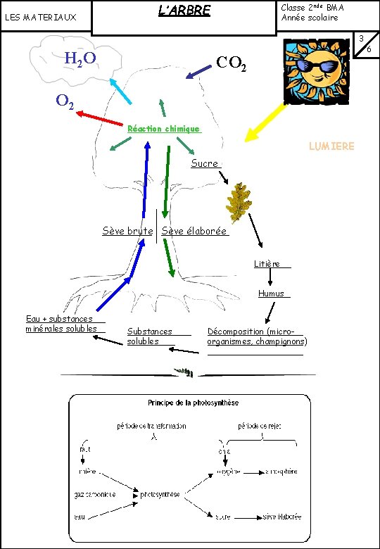 L’ARBRE LES MATERIAUX VI: FONCTION CHLOROPHYLLIENNE (suite) : H 2 O Classe 2 nde