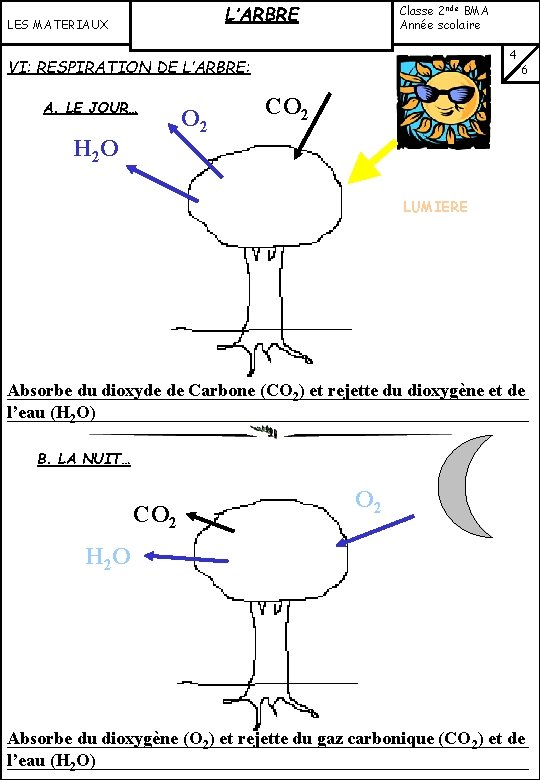 L’ARBRE LES MATERIAUX Classe 2 nde BMA Année scolaire …………… VI: RESPIRATION DE L’ARBRE: