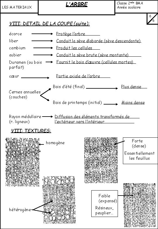 L’ARBRE LES MATERIAUX Classe 2 nde BMA Année scolaire …………… VIII: DETAIL DE LA