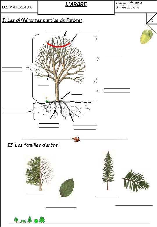 L’ARBRE LES MATERIAUX Classe 2 nde BMA Année scolaire …………… I. Les différentes parties