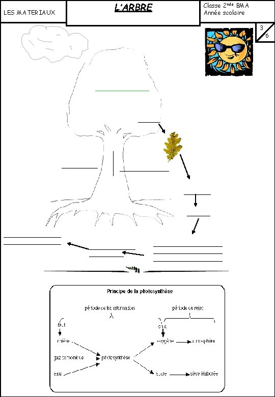 L’ARBRE LES MATERIAUX VI: FONCTION CHLOROPHYLLIENNE (suite) : Classe 2 nde BMA Année scolaire