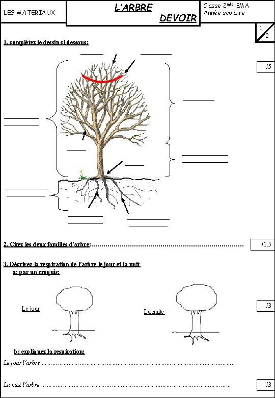 L’ARBRE LES MATERIAUX 1. complétez le dessin ci dessous: ______ DEVOIR Classe 2 nde