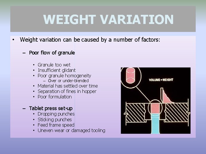 WEIGHT VARIATION • Weight variation can be caused by a number of factors: –