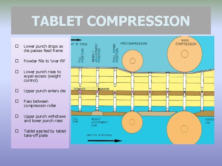 TABLET COMPRESSION � Lower punch drops as die passes feed frame � Powder fills
