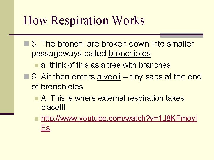 How Respiration Works n 5. The bronchi are broken down into smaller passageways called How Respiration Works n 5. The bronchi are broken down into smaller passageways called