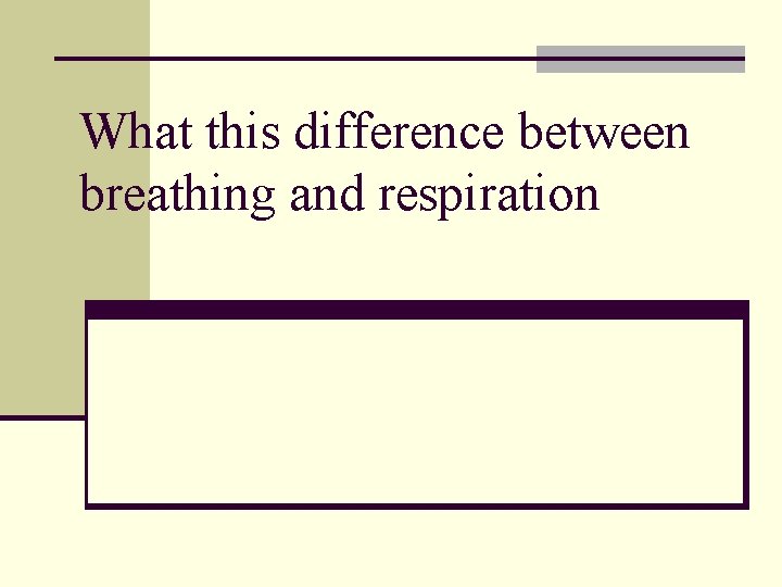 besides breathing what are two other functions of the respiratory system