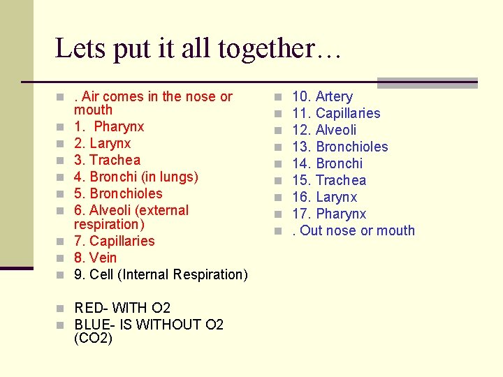 Lets put it all together… n. Air comes in the nose or n n Lets put it all together… n. Air comes in the nose or n n