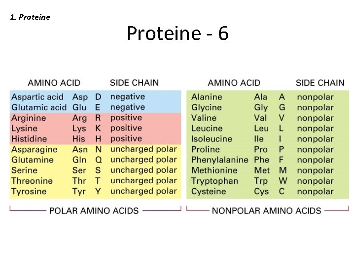 1. Proteine - 6 