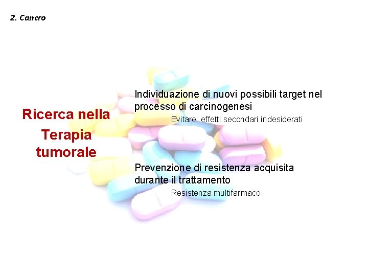 2. Cancro Ricerca nella Terapia tumorale Individuazione di nuovi possibili target nel processo di