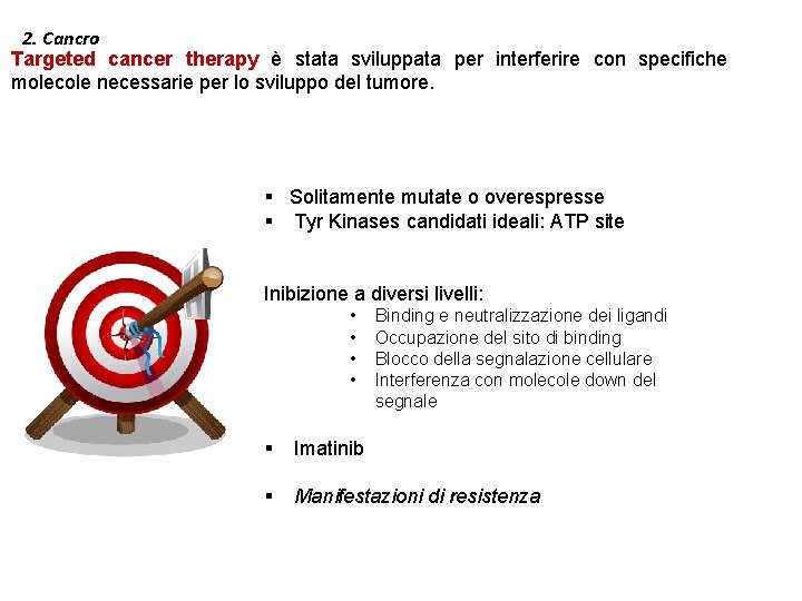 2. Cancro Targeted cancer therapy è stata sviluppata per interferire con specifiche molecole necessarie