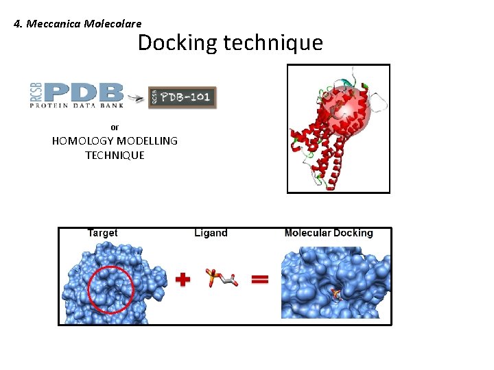 4. Meccanica Molecolare Docking technique or HOMOLOGY MODELLING TECHNIQUE 