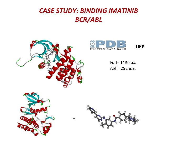 CASE STUDY: BINDING IMATINIB BCR/ABL 1 IEP Full= 1130 a. a. Abl = 293