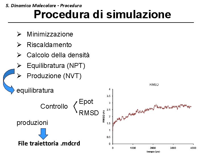 5. Dinamica Molecolare - Procedura di simulazione Ø Ø Minimizzazione Riscaldamento Calcolo della densità