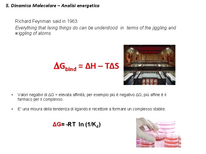 5. Dinamica Molecolare – Analisi energetica Richard Feynman said in 1963: Everything that living