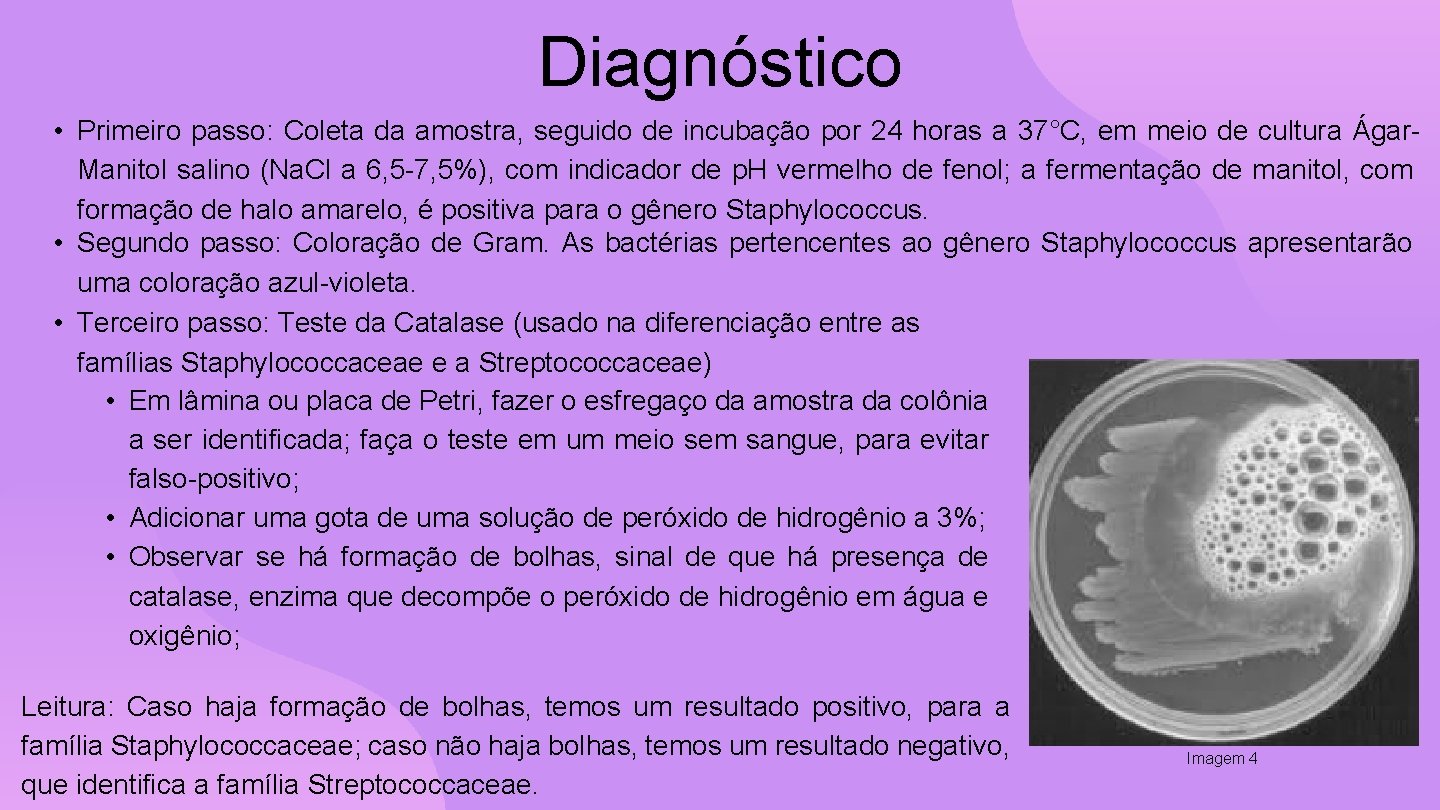 Diagnóstico • Primeiro passo: Coleta da amostra, seguido de incubação por 24 horas a