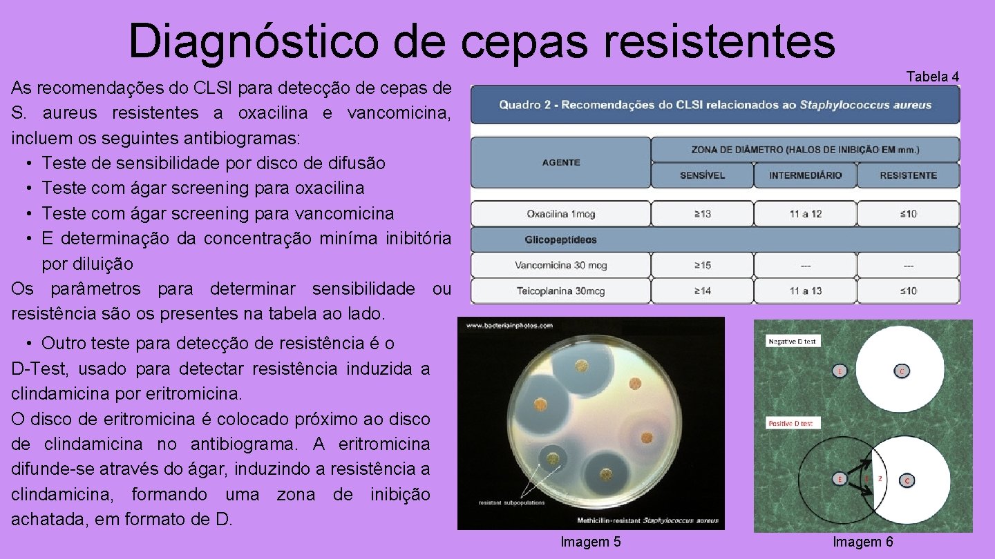 Diagnóstico de cepas resistentes Tabela 4 As recomendações do CLSI para detecção de cepas