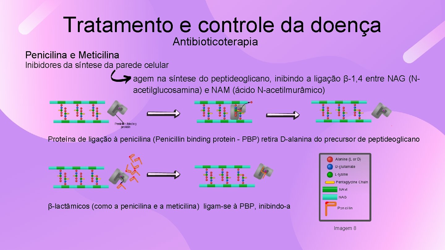 Tratamento e controle da doença Antibioticoterapia Penicilina e Meticilina Inibidores da síntese da parede