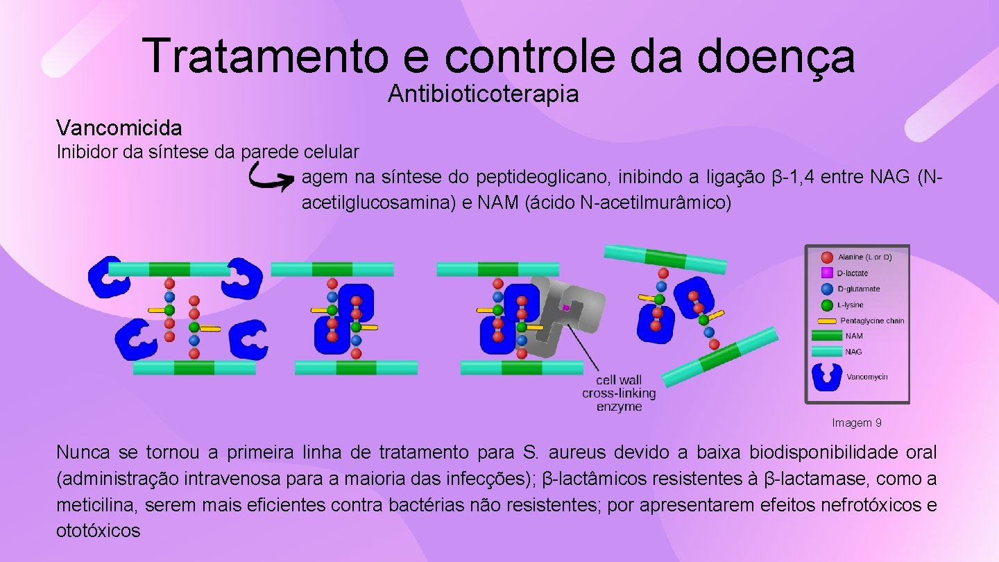 Tratamento e controle da doença Antibioticoterapia Vancomicida Inibidor da síntese da parede celular agem