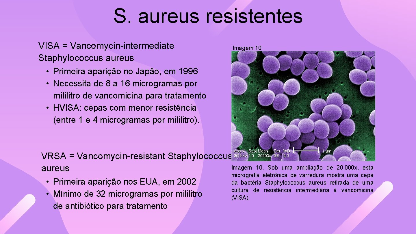 S. aureus resistentes VISA = Vancomycin-intermediate Staphylococcus aureus • Primeira aparição no Japão, em